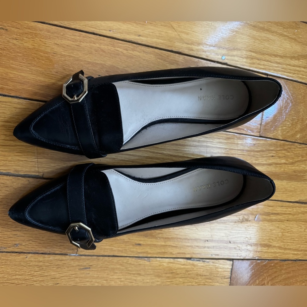 Cole haan pointed toe ballet flats, excellent condition, very comfortable